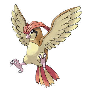 Pidgeotto Artwork
