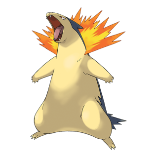 Typhlosion Artwork