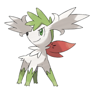 Shaymin Cielo Artwork