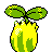 #191 Sunkern sprite Posterior Shiny