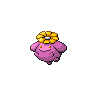 #188 Skiploom sprite Esmeralda Shiny