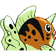 #119 Seaking sprite Posterior Shiny