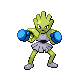 #107 Hitmonchan sprite Oro HeartGold / Plata SoulSilver Shiny