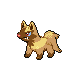 #261 Poochyena sprite Platino Shiny