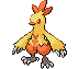 #256 Combusken sprite Frontal