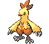 #256 Combusken sprite Frontal Shiny