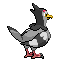 #520 Tranquill sprite Posterior
