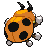 #165 Ledyba sprite Posterior Shiny